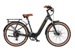 Aima Santa Monica Ebike